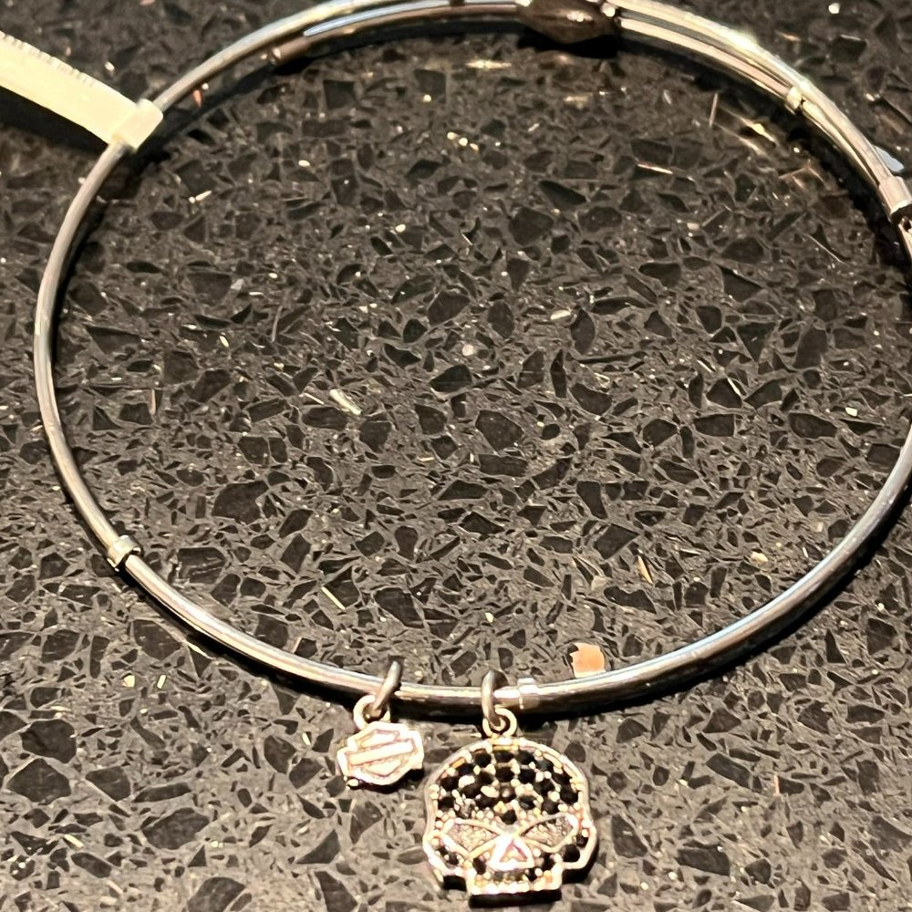 HARLEY DAVIDSON STAINLESS STEEL LADIES  SKULL BANGLE BRACELET